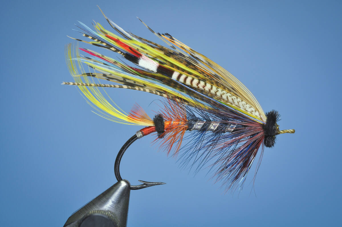 Blue Touser salmon fly