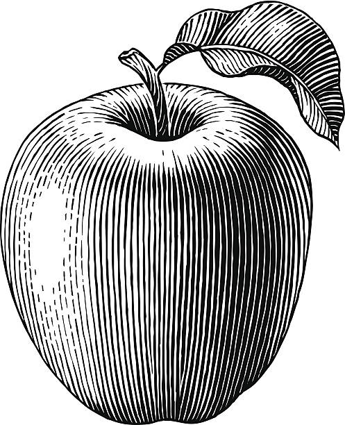 Apple illustration