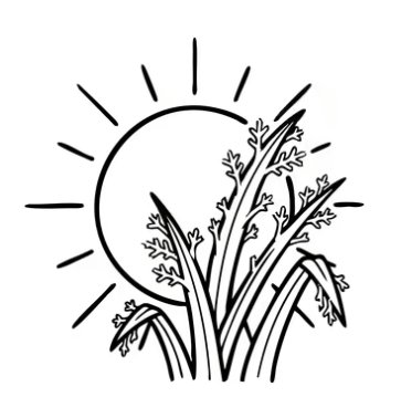 Regenerative farming illustration