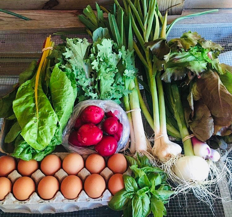 Heirloom vegetables growing at Lowland Farms, Johns Island, Charleston SC