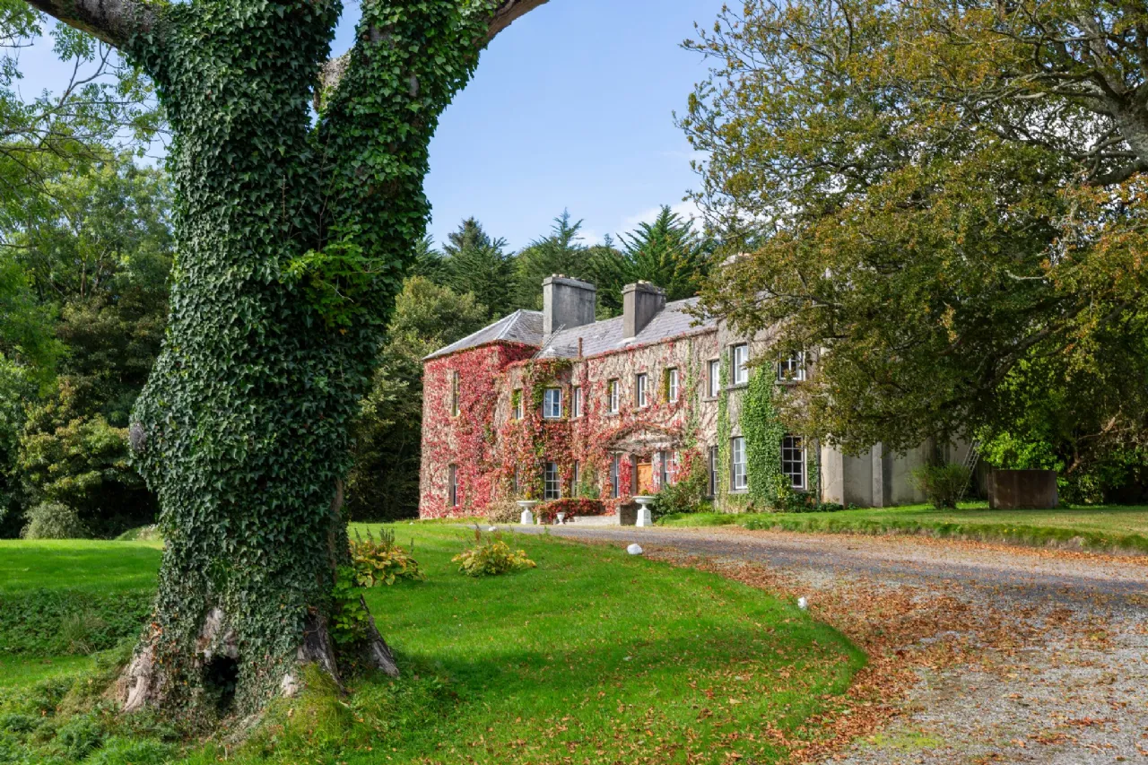 Newport House — the ivy-clad Georgian facade viewed from the tree-lined avenue