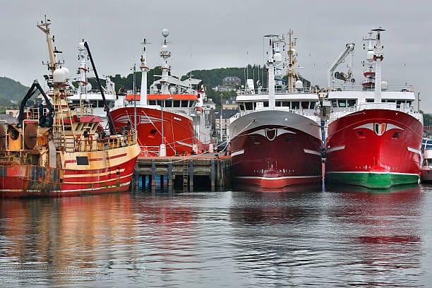 The Sea They Gave Away